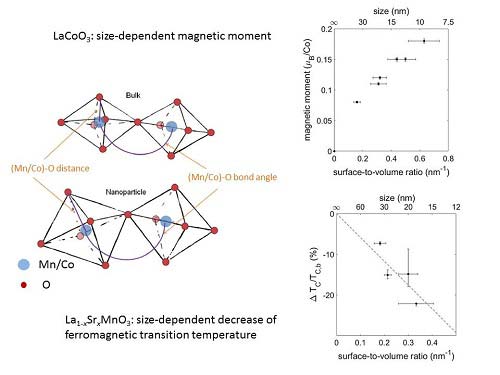 RR Lyrae stars as tracers of substructure and Galactic archaeology