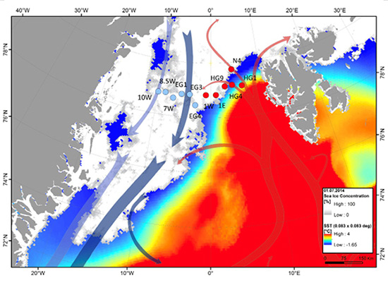 Zeitliche und räumliche mikrobielle Dynamiken im Arktischen Ozean