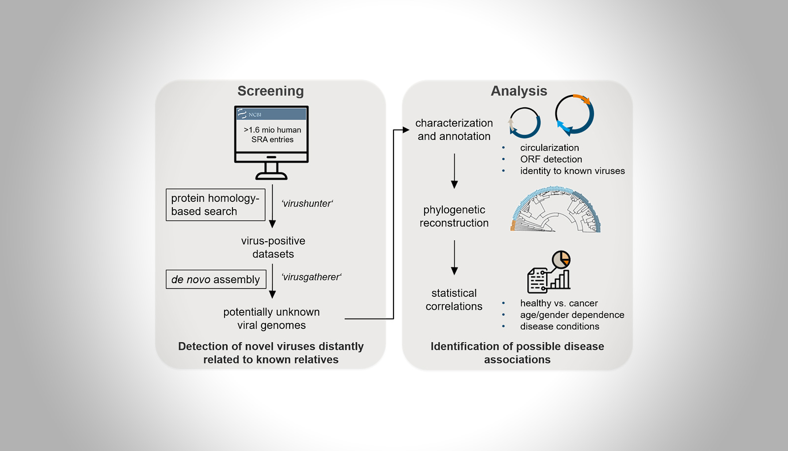 High-throughput Virus Discovery in Next Generation Sequencing Data