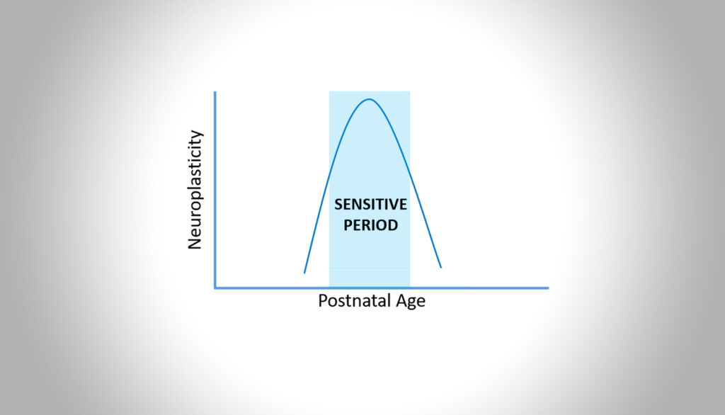 Sensitive period plasticity and functional recovery after sight restoration