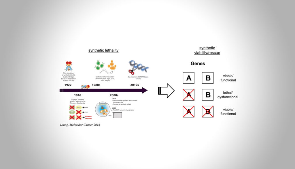 Defining novel resilience pathways in rare monogenic disorders