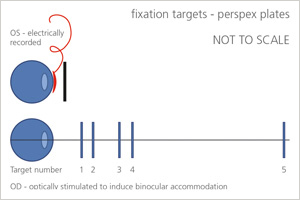 RR Lyrae stars as tracers of substructure and Galactic archaeology