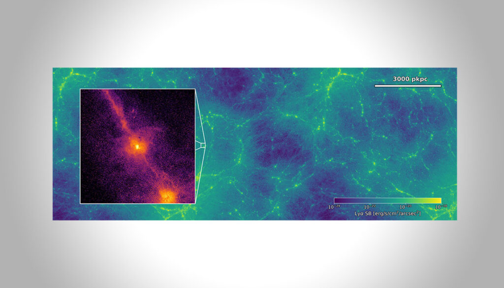 Zirkumgalaktisches Medium und das kosmische Netz