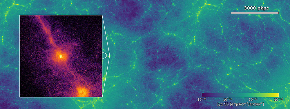 Zirkumgalaktisches Medium und das kosmische Netz