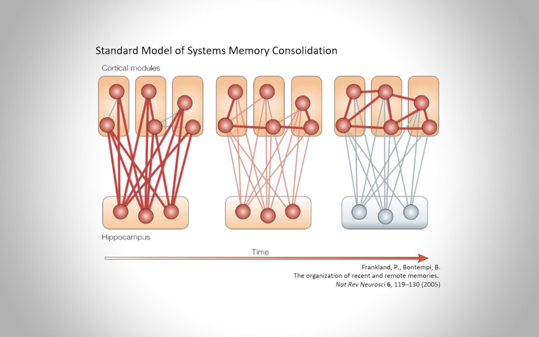 Neuro­nale Prozesse von adapti­ver und maladap­ti­ver Gedächtniskonsolidierung