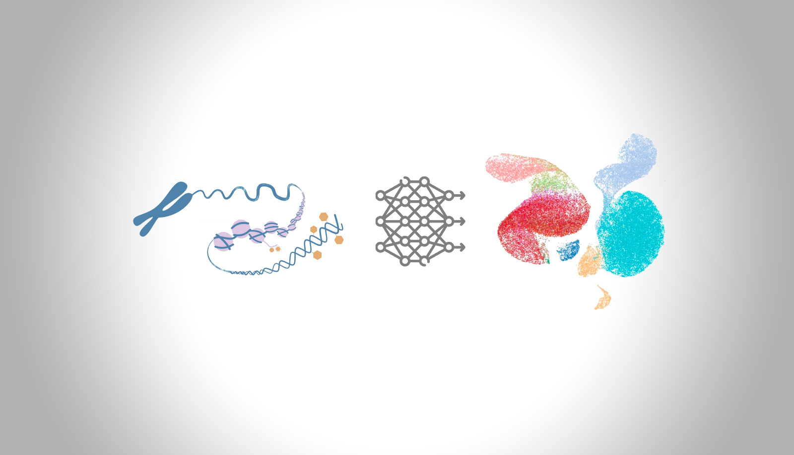 Advancing rare disease classification: exploring representation learning in low-data and heavy tail settings