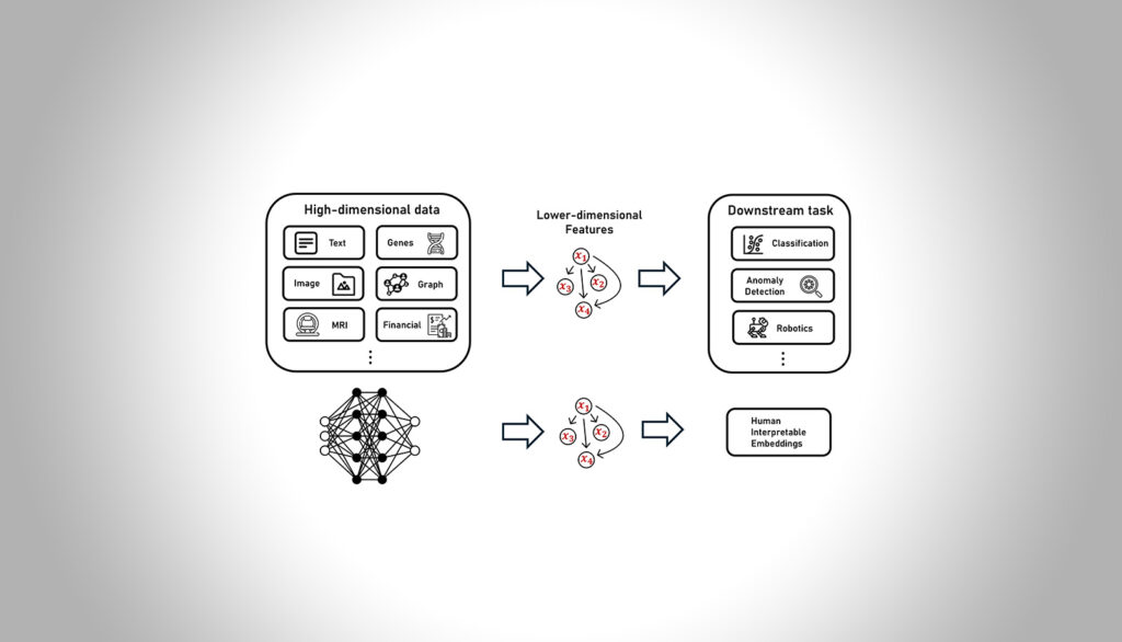 Representation Learning and Causality: Theory, Practice, and Implications for Mechanistic Interpretability